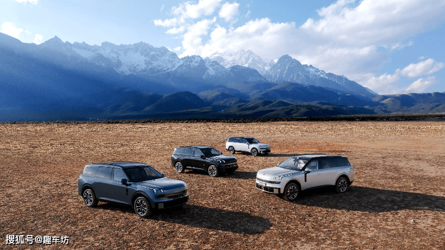 吉利连出两招专治刻板印象新葡京智能化=智商税？(图8)